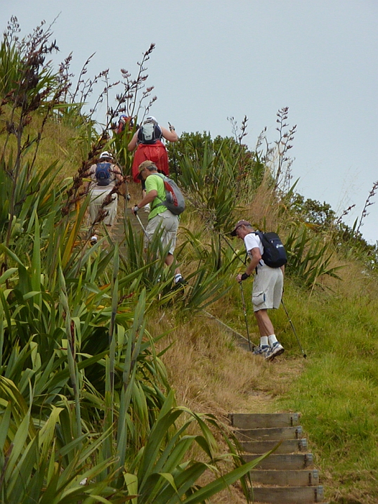 Waiheke Hill Climb_opt (1)