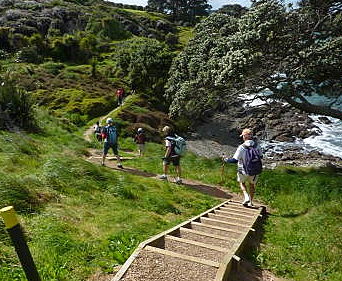 Waiheke Walking Festival   Stairs